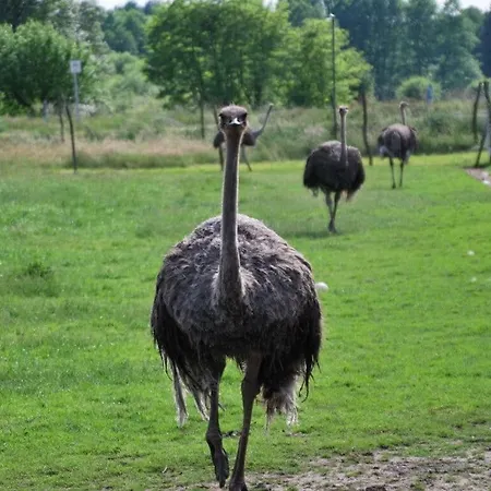 At Bauernsee Modern Retreat Casa de Férias *