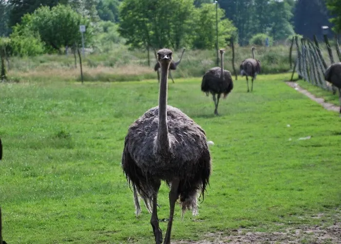 At Bauernsee Modern Retreat Prázdninový dům *